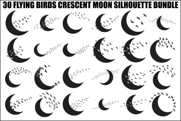 Flying Birds Moon SVG Bundle: Night Sky Designs