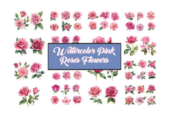 Hand Painted Pink Roses Vector Collection