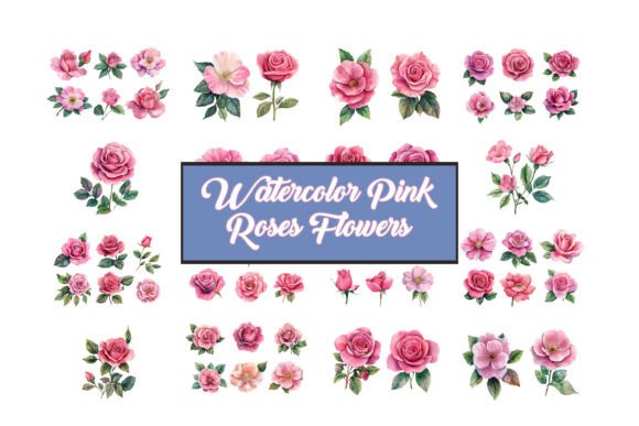 Hand Painted Pink Roses Vector Set: A Guide to Timeless Floral Design