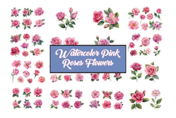 Pink Rose Watercolor Vector Set: Timeless Floral Elegance