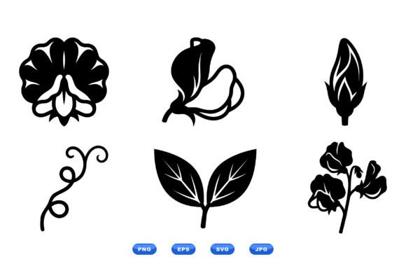Sweet Pea Floral Clipart for Modern Design